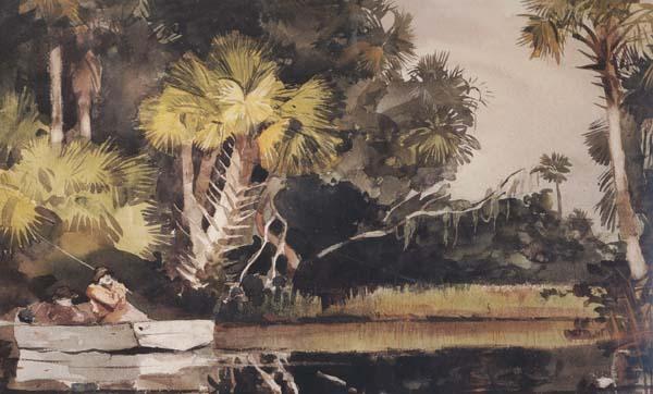 Winslow Homer Homosassa Jungle (mk44) china oil painting image